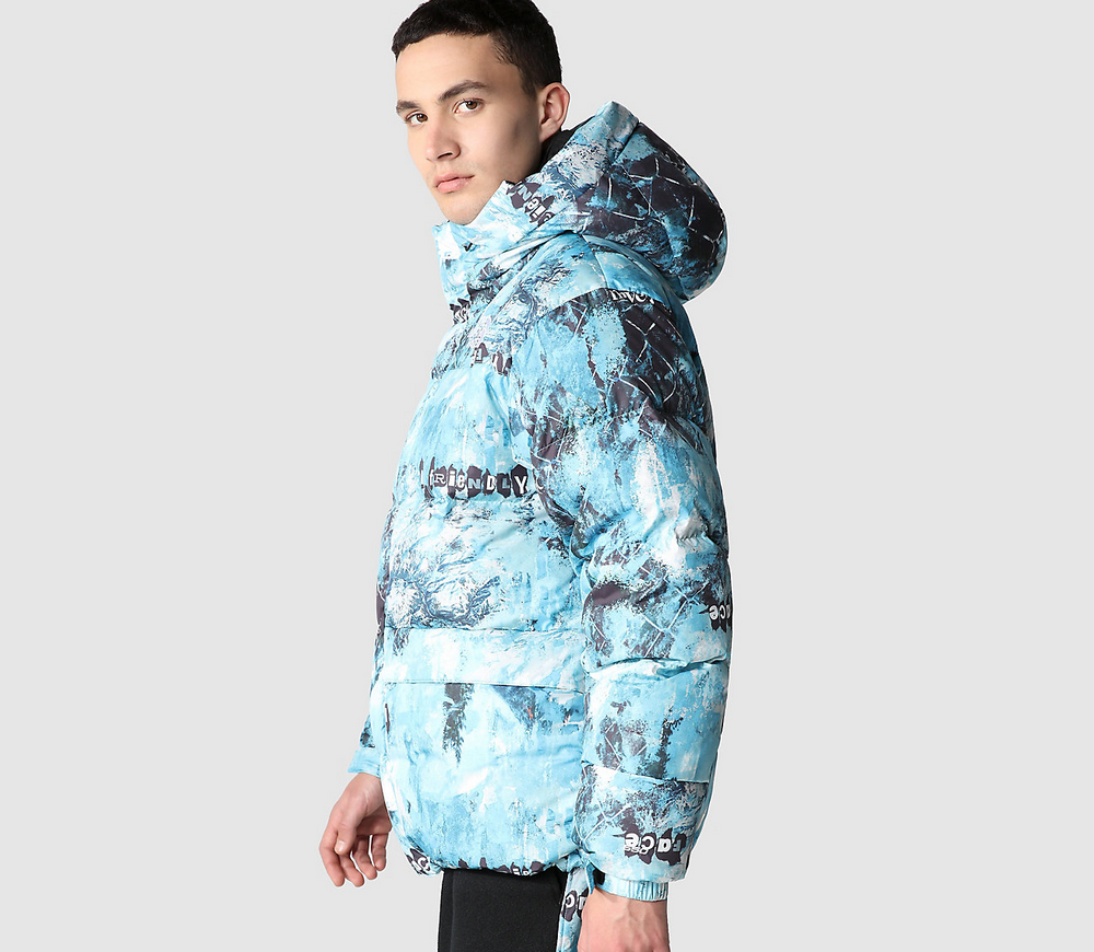 THE NORTH FACE Printed Himalayan Down Parka