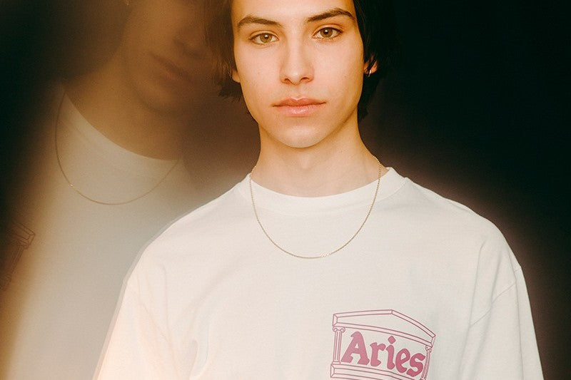 ARIES ARISE