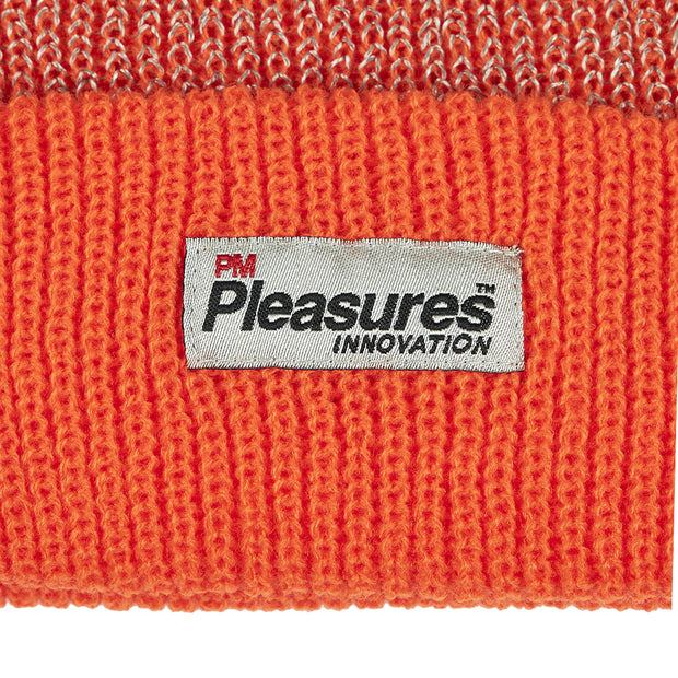 PLEASURES Innovation Reflective Beanie