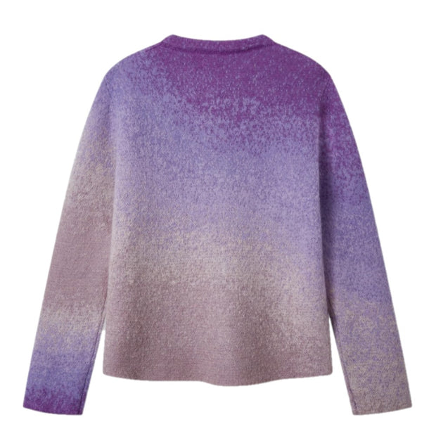 ERL ERL Gradient Crew Neck Sweater