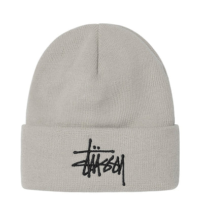 STUSSY Big Basic Thinsulate Beanie