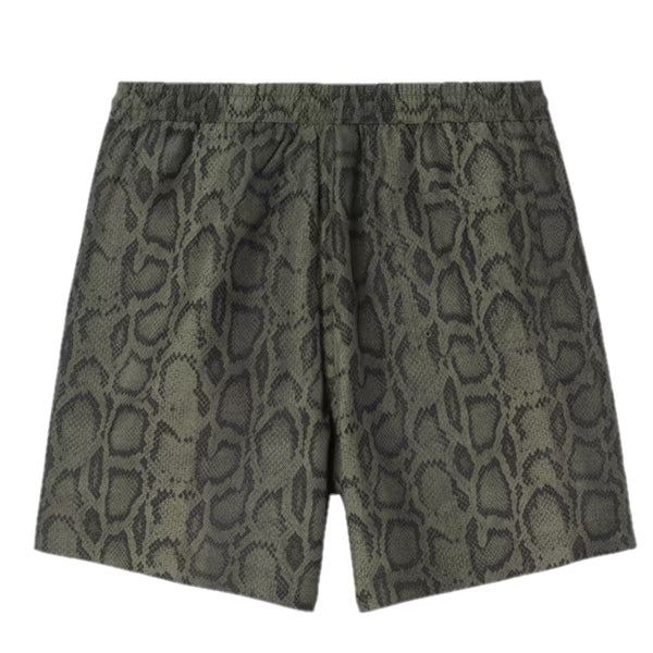CARHARTT WIP Slater Swim Trunks
