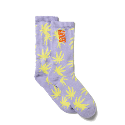 ARIES Weed Socks