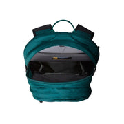 THE NORTH FACE Borealis Classic Backpack