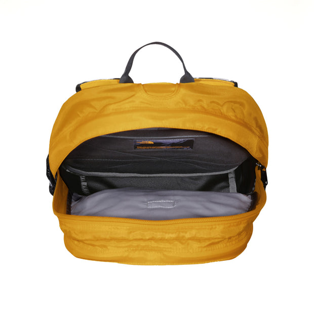 THE NORTH FACE Borealis Classic Backpack