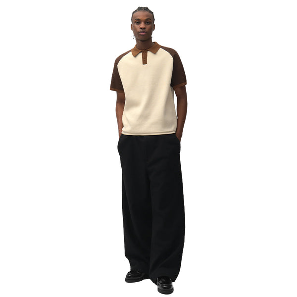 ARTE  Wool Pleated Gallery Pants