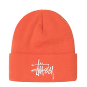 STUSSY Big Basic Thinsulate Beanie