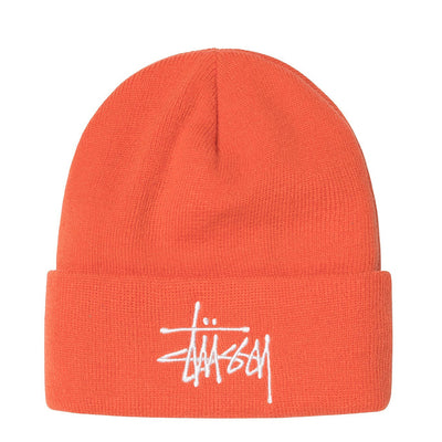 STUSSY Big Basic Thinsulate Beanie