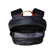 THE NORTH FACE Borealis Classic Backpack