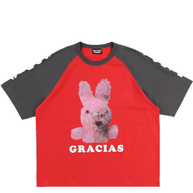 PLEASURES Sonic Youth Gracias Raglan T-shirt