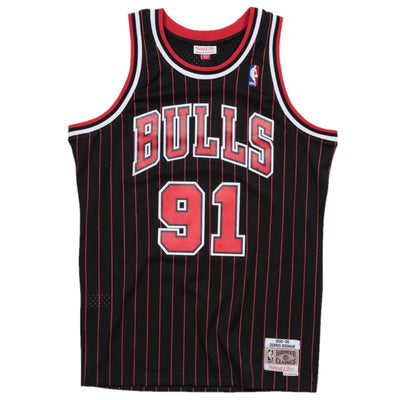 MITCHELL & NESS NBA Bulls 95 Dennis Rodman