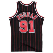 MITCHELL & NESS NBA Bulls 95 Dennis Rodman